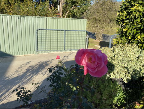 Blue Manor On Fairway - ACT Tourism 2