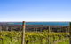 Blue Range Estate Villas - thumb 3