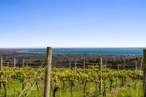 Blue Range Estate Villas - ACT Tourism 3
