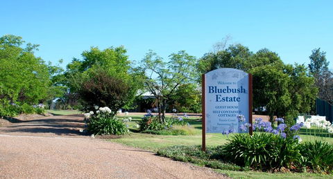 Bluebush Estate - ACT Tourism 0