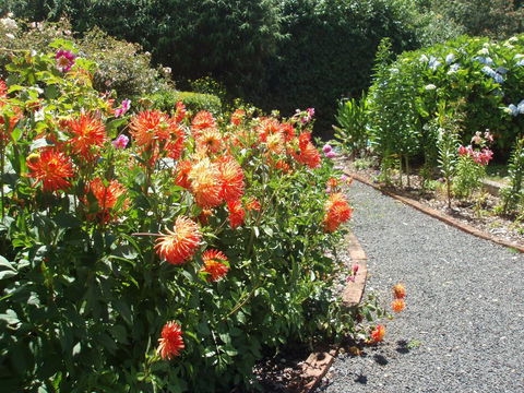 Boat Harbour Garden Cottages - ACT Tourism 0