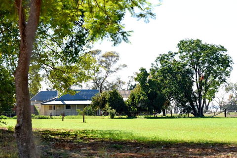 The Jetty Hut - Lake Frontage Barmera Riverland - ACT Tourism 2