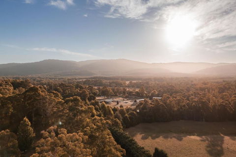 The Mill Houses Narbethong - ACT Tourism 1