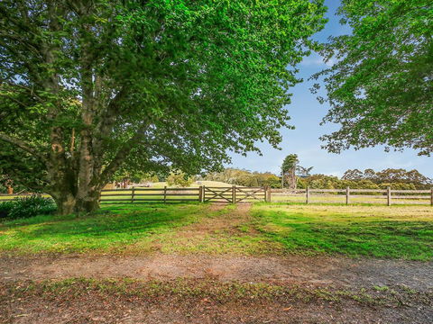 The Source, Otways - ACT Tourism 3