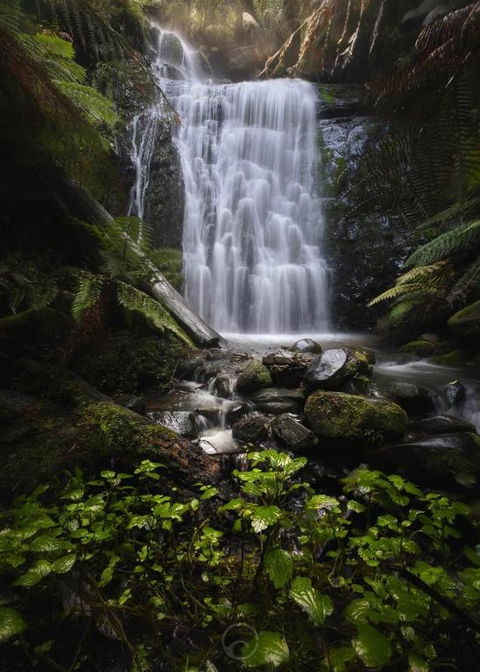 The Source, Otways - ACT Tourism 2