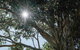 Yarramie - thumb 1