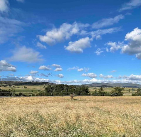 Yarras Homestead Bathurst. Luxury Farm Stay - ACT Tourism 2