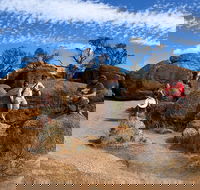 The Big Wave Rock Private Day Tour - ACT Tourism