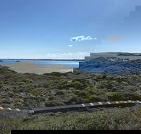 Penguin Island And Fremantle - Canoe Chocolate  Coffee - ACT Tourism