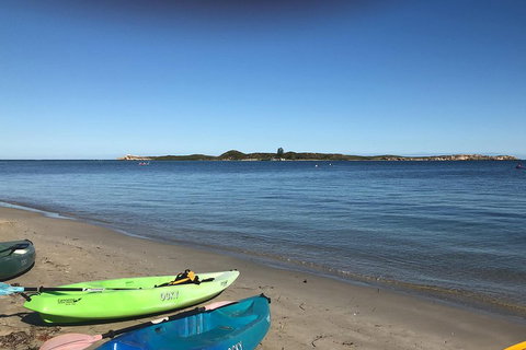 Penguin Island And Fremantle - Canoe, Chocolate & Coffee - ACT Tourism 2