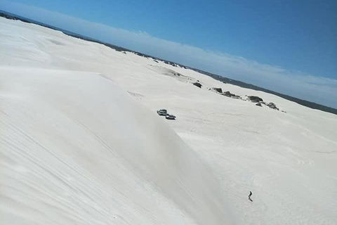 Yanchep & Lancelin - Wildlife, Cave And Sands - ACT Tourism 3