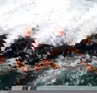 Cruise in Moreton Bay Marine Park and Moreton Island - ACT Tourism