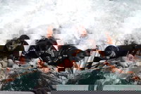 Book Viator Accommodation Vacations ACT Tourism ACT Tourism