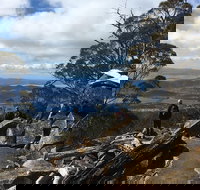 kunanyi / Mt Wellington Explorer Bus - 2 Hour Return Tour - ACT Tourism