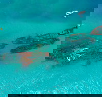 Private Tangalooma Wrecks Tour - ACT Tourism