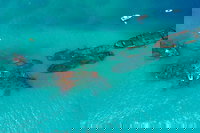 Private Tangalooma Wrecks Tour, Surfers Paradise