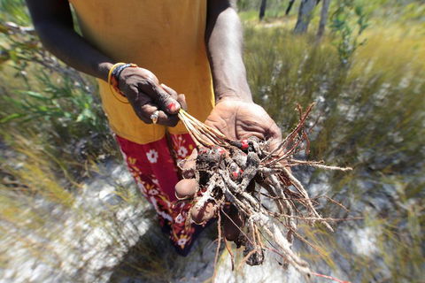 Gay-Wu Woman's 5 Day Yolngu Homeland Tour - ACT Tourism 0