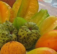 Private Half Day Tour Exclusive World Heritage Rainforest and Waterfall Tour from Cairns - ACT Tourism