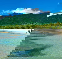 5-Day Best of Cairns with Daintree Kuranda and Great Barrier Reef - ACT Tourism