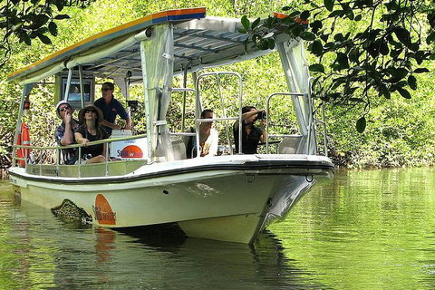 5-Day Best Of Cairns With Daintree, Kuranda, And Great Barrier Reef - ACT Tourism 1