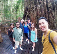 Cairns 4WD Waterfall and Rainforest Tour Including Kuranda Scenic Railway - ACT Tourism