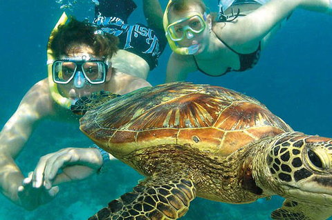 8-Day Cairns Tour: Great Barrier Reef, Kuranda, Daintree Rainforest - ACT Tourism 1
