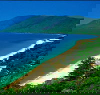 Cairns Reef and Rainforest Combo Daintree Rainforest and the Great Barrier Reef - ACT Tourism