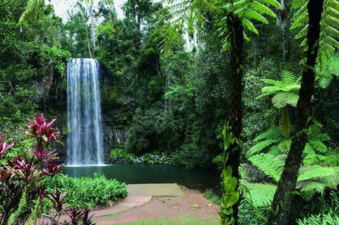 Paronella Park And Millaa Millaa Falls Full-day Tour From Cairns - ACT Tourism 3