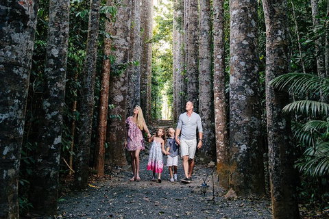Paronella Park And Millaa Millaa Falls Full-day Tour From Cairns - ACT Tourism 5