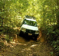 Cairns National Park Rainforest and Waterfall Small Group Tour Shore Excursion - ACT Tourism
