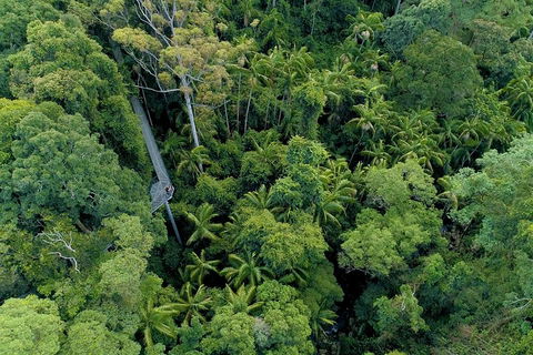 Natural Bridge, Skywalk And Mt Tamborine Adventure! - ACT Tourism 2