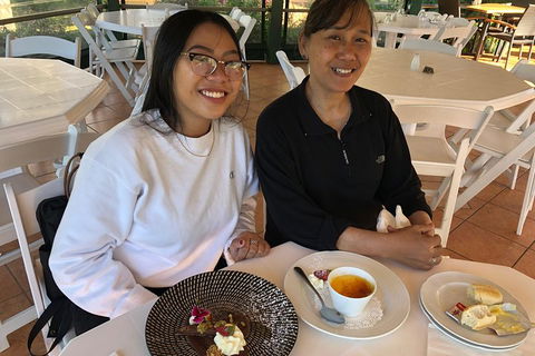 Natural Bridge, Skywalk And Mt Tamborine Adventure! - ACT Tourism 5