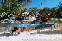 Whitehaven Beach Club, Airlie Beach