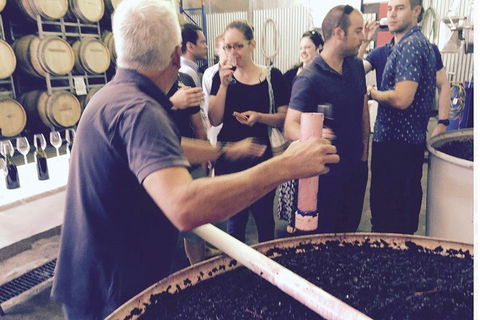 Luxury Private Mclaren Vale Wine Tour - ACT Tourism 4