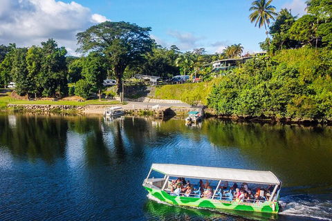 Afternoon Half-Day Daintree Rainforest And River Tour - ACT Tourism 1
