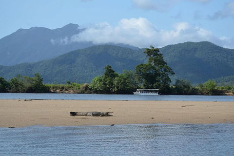 Afternoon Half-Day Daintree Rainforest And River Tour - ACT Tourism 2