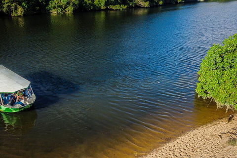Afternoon Half-Day Daintree Rainforest And River Tour - ACT Tourism 3