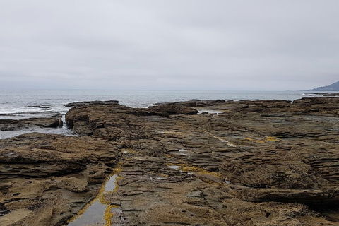 Luxury Private Great Ocean Road Tour Up To 11 People - Entire Vehicle - ACT Tourism 1