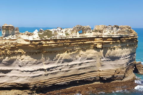 Luxury Private Great Ocean Road Tour Up To 11 People - Entire Vehicle - ACT Tourism 4