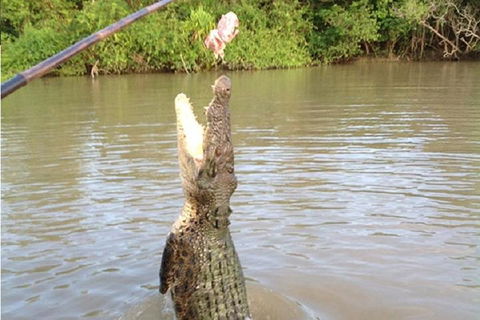 Litchfield National Park And Jumping Crocodile Cruise - ACT Tourism 2