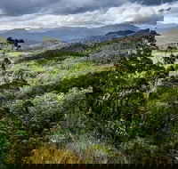3-Day Tour to the Falls Mountains Lake  More of West Coast Tasmania - ACT Tourism