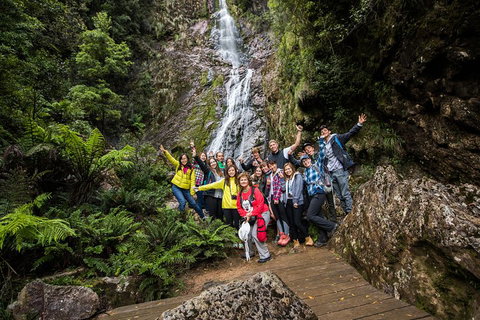 5-Day Lap Of Tasmania Tour From Hobart (flexible Ticket) - ACT Tourism 0