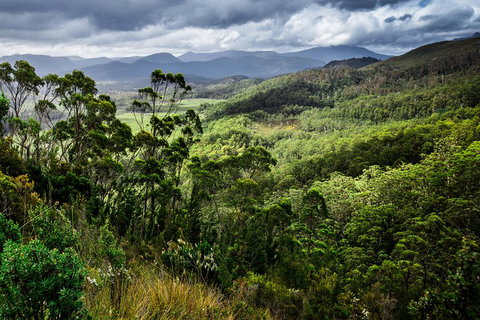 5-Day Lap Of Tasmania Tour From Hobart (flexible Ticket) - ACT Tourism 2