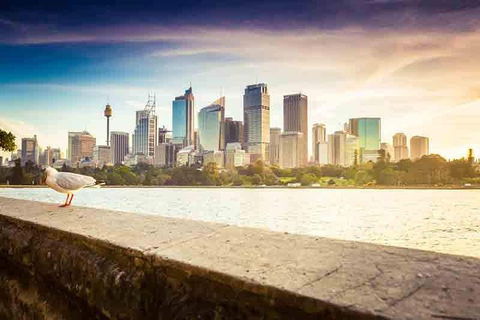 Private Sydney City And Bondi Beach Half Day Tour - ACT Tourism 2