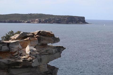 Private Sydney City And Bondi Beach Half Day Tour - ACT Tourism 3