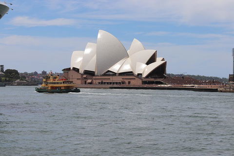 Private Sydney City And Bondi Beach Half Day Tour - ACT Tourism 5