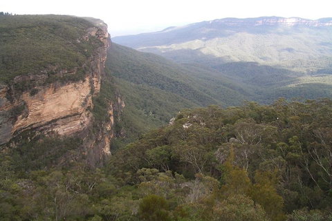 Full-Day Private Blue Mountains Tour With River Cruise - ACT Tourism 3