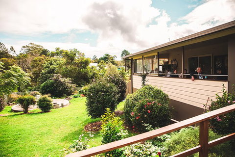 Full-day Springbrook National Park Tour From The Gold Coast - ACT Tourism 2