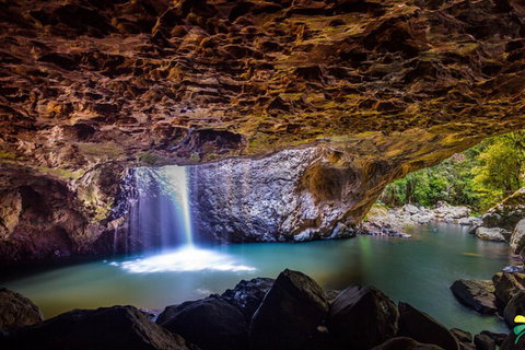 Full-day Springbrook National Park Tour From The Gold Coast - ACT Tourism 3
