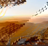 O'Reilly's  Lamington National Park incl. Alpaca Farm  Vineyard - ACT Tourism